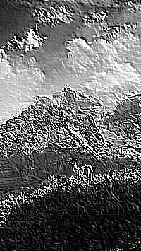 Skamielina