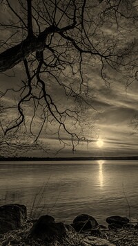 Szary + Sepia