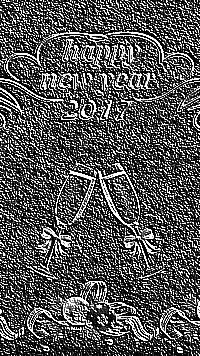 Skamielina
