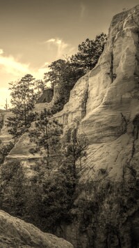 Szary + Sepia