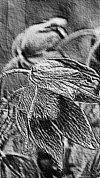 Skamielina