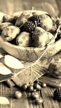 Sepia