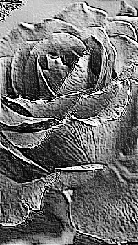 Skamielina
