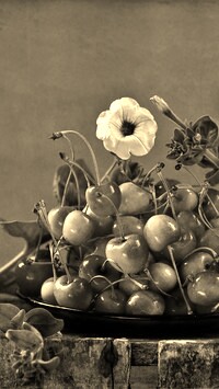 Szary + Sepia