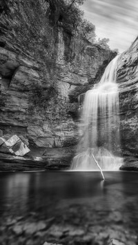 Szary