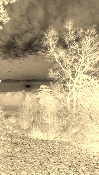 Sepia + Negatyw