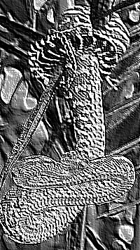 Skamielina