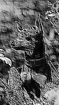 Skamielina