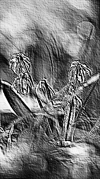 Skamielina