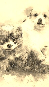 Szary + Sepia