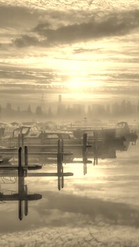 Szary + Sepia