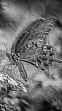 Skamielina