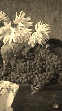 Szary + Sepia