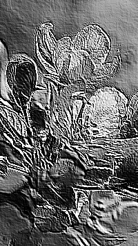 Skamielina