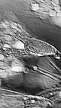 Skamielina