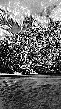 Skamielina