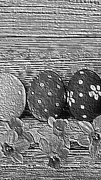 Skamielina