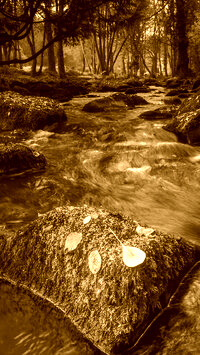 Sepia