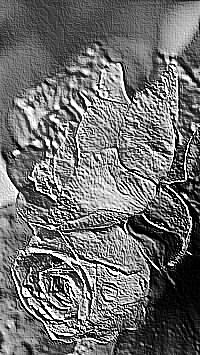 Skamielina