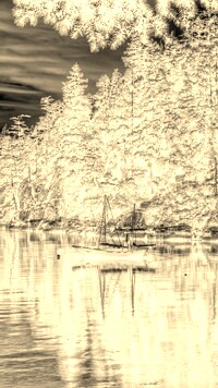 Sepia + Negatyw