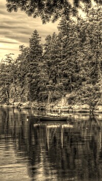 Szary + Sepia