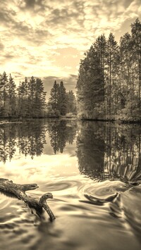 Sepia