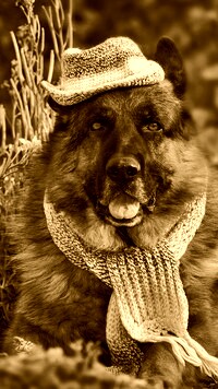 Sepia