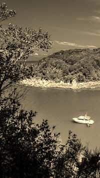 Sepia