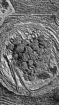 Skamielina