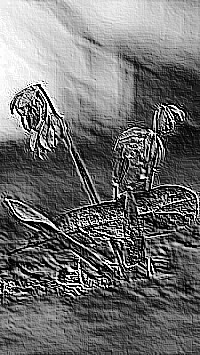 Skamielina