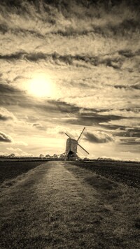 Szary + Sepia