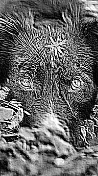 Skamielina
