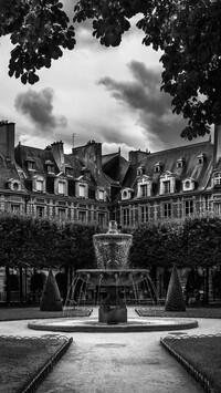 Szary
