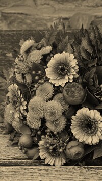 Szary + Sepia