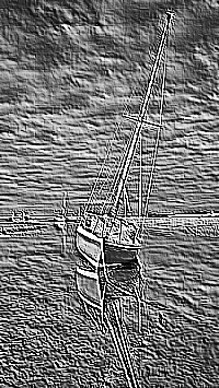 Skamielina