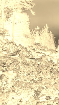 Sepia + Negatyw