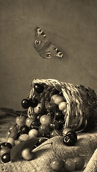 Szary + Sepia