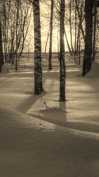Szary + Sepia