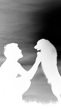 Szary + Negatyw