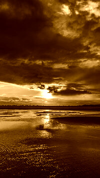 Sepia