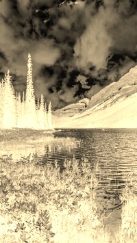 Sepia + Negatyw