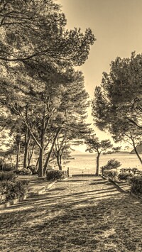 Szary + Sepia