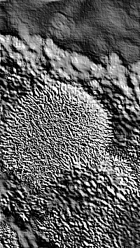 Skamielina