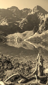 Szary + Sepia