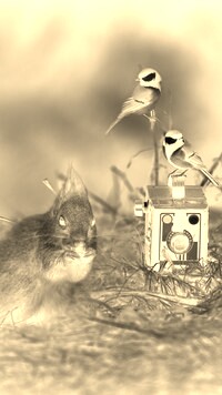 Sepia + Negatyw