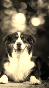 Sepia