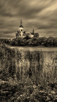 Szary + Sepia