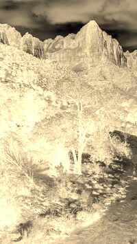 Sepia + Negatyw