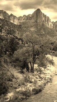 Szary + Sepia