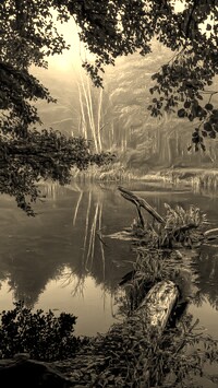 Szary + Sepia